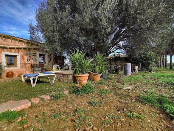 Finca rústica cerca de Campos con 21.900 m² de terreno