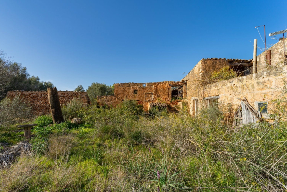 Finca rústica junto a Cala Pí — 136.400 m², término Llucmajor, a 10 min de la costa