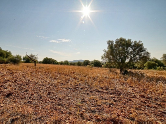 Finca rústica de 167.000 m² entre Campos y Santanyí
