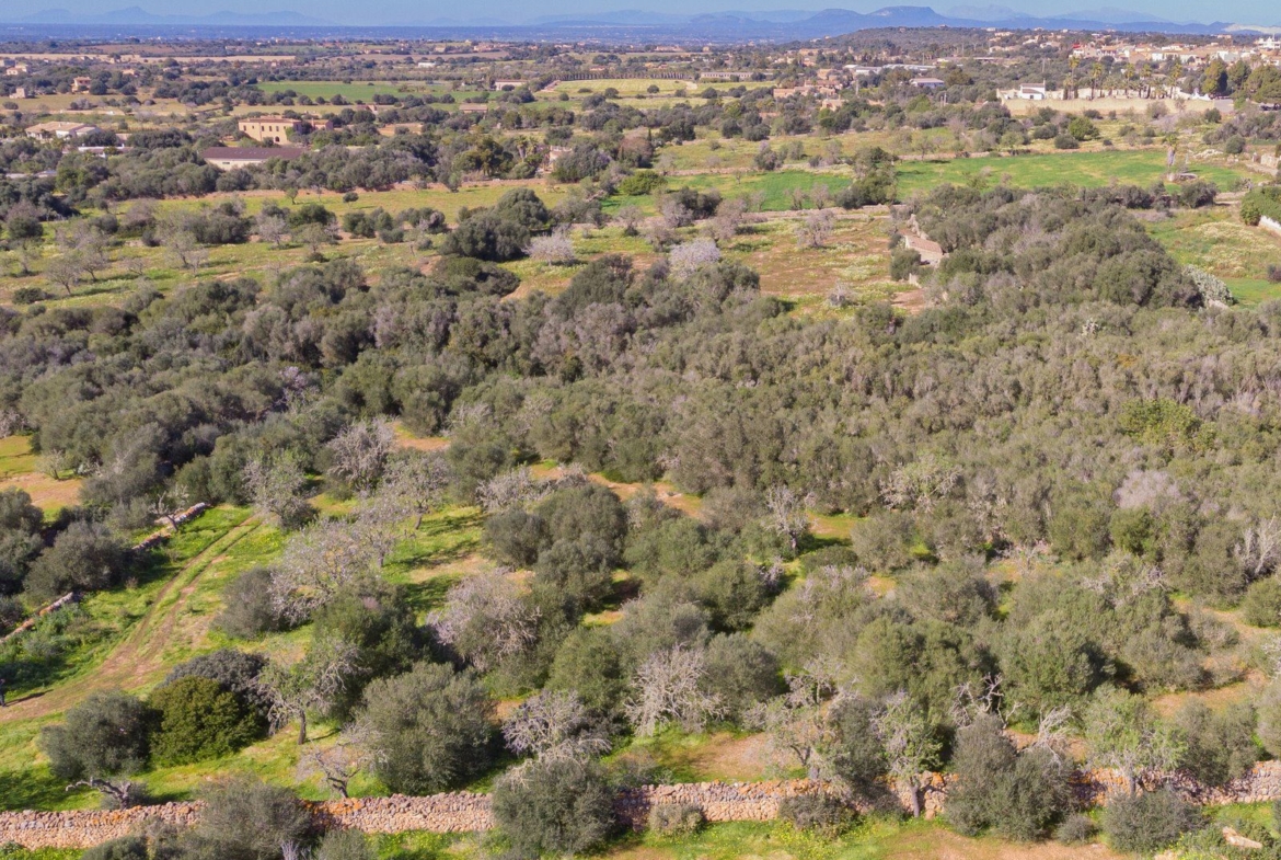 Rustic Land with Sea Views for Sale in Ses Salines, Mallorca
