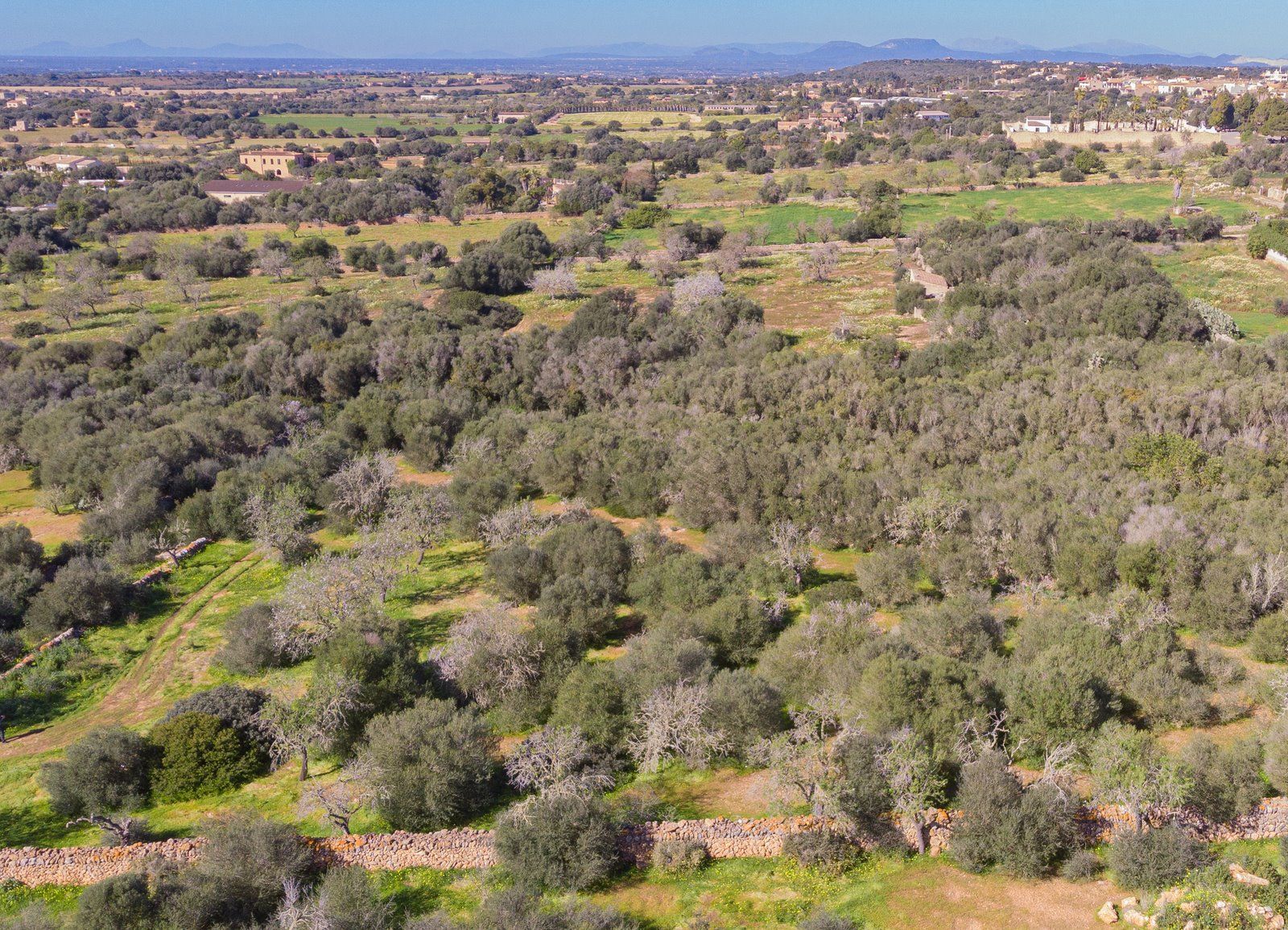 Rustic Land with Sea Views for Sale in Ses Salines, Mallorca