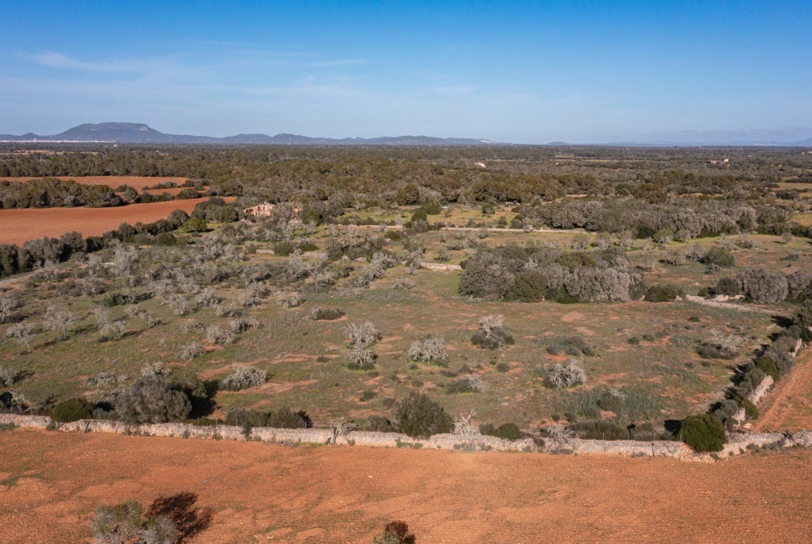 Finca rústica junto a Cala Pí — 136.400 m², término Llucmajor, a 10 min de la costa