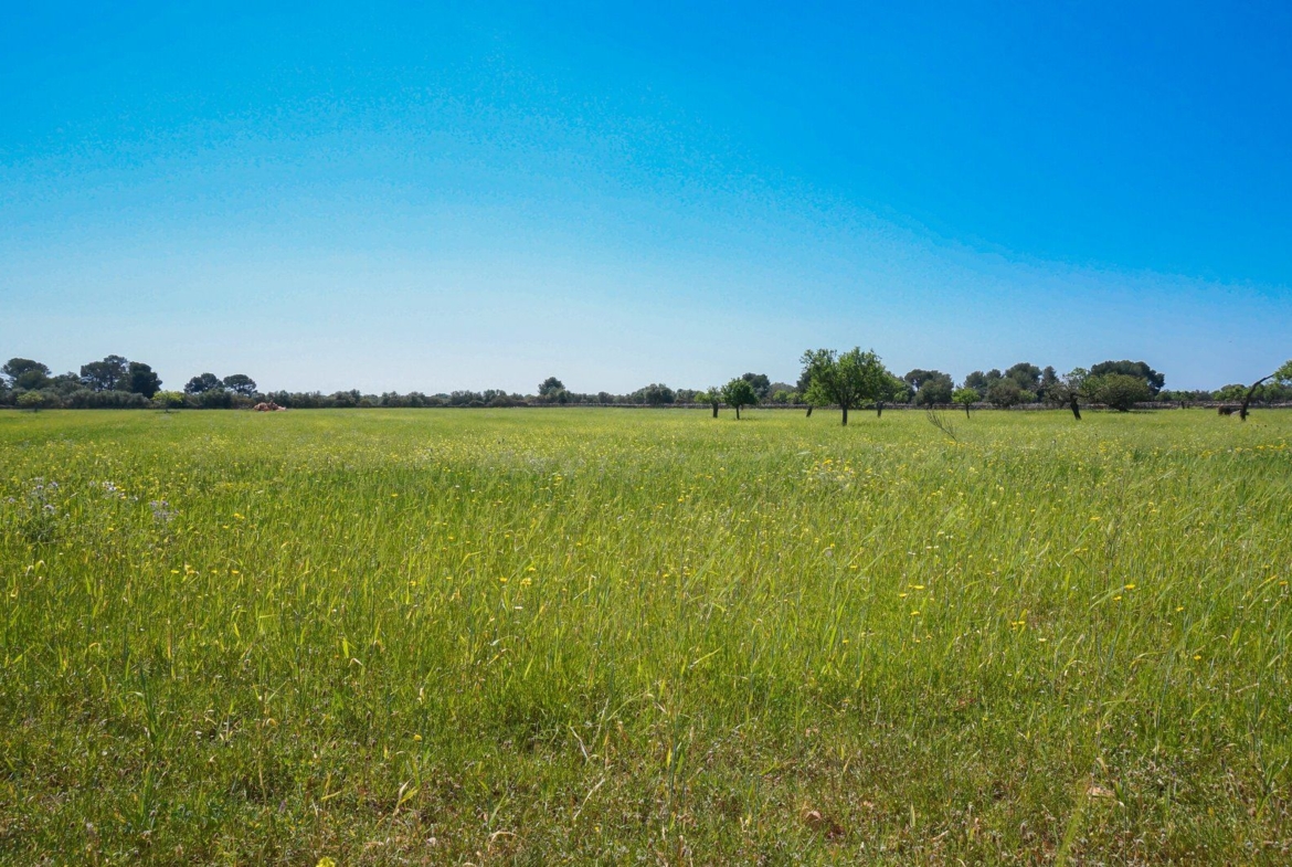 Finca rústica junto a Cala Pí — 136.400 m², término Llucmajor, a 10 min de la costa