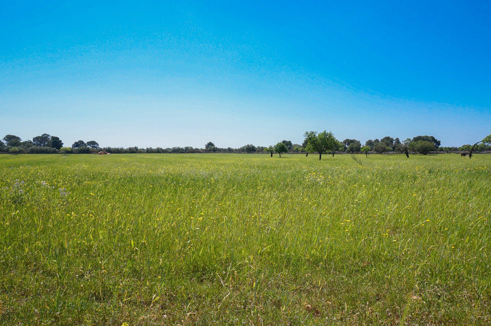 11-866-Villasyfincasmallorca.jpg Finca rústica junto a Cala Pí — 136.400 m², término Llucmajor, a 10 min de la costa