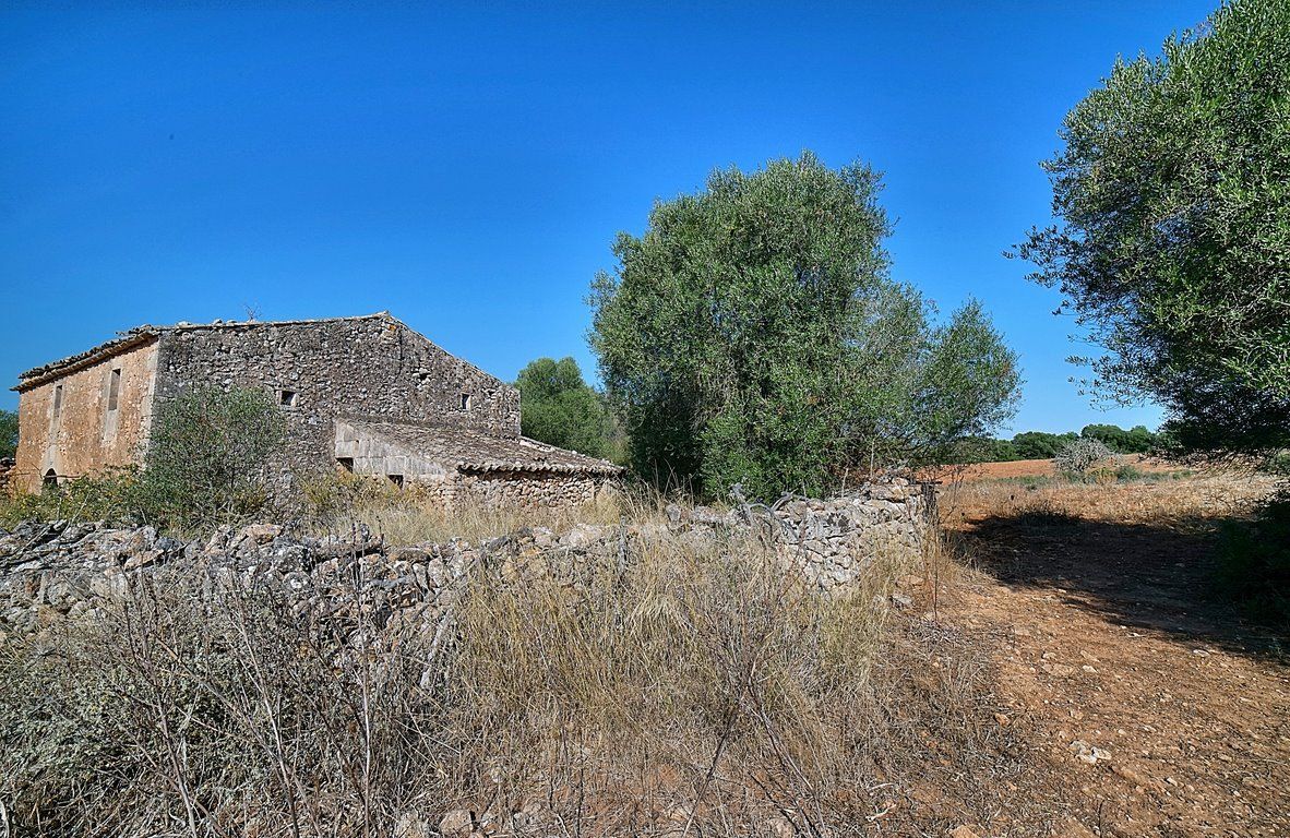 11-Villasyfincasmallorca-12.jpg Finca rústica de 167.000 m² entre Campos y Santanyí