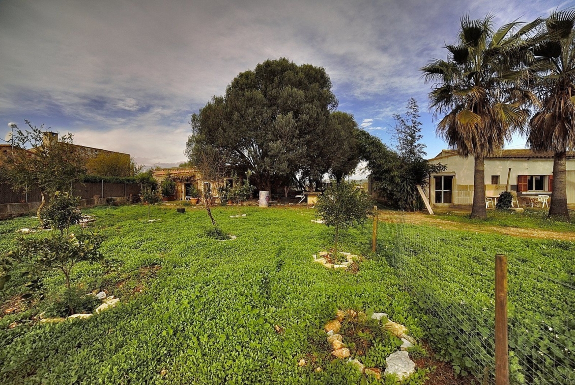 Rustic Finca Near Campos, South Mallorca | 21,900 m² Land