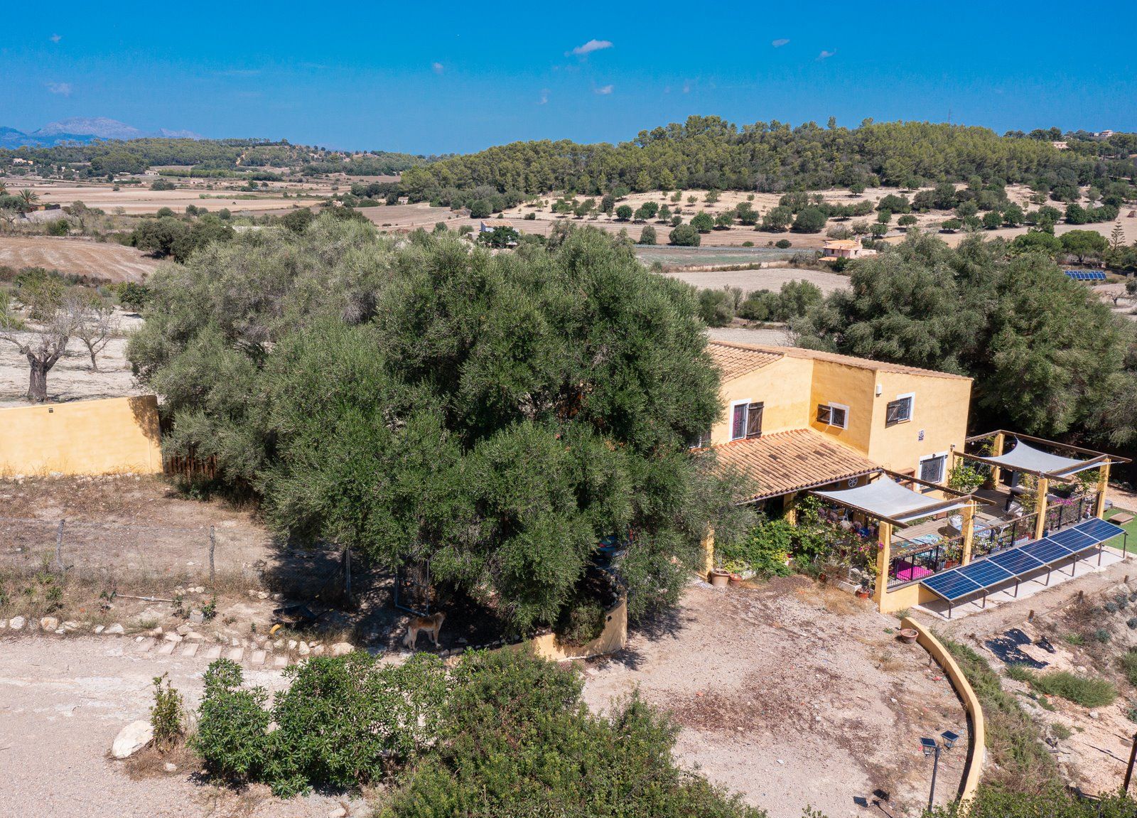 12-1222-D-Villasyfincasmallorca.jpg Casa de campo con piscina y vistas en Sineu, Mallorca