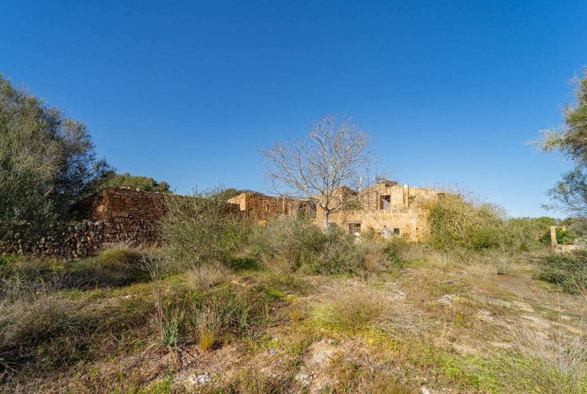 Finca rústica junto a Cala Pí — 136.400 m², término Llucmajor, a 10 min de la costa