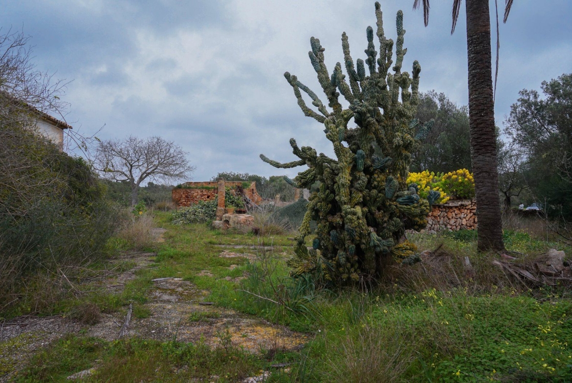 Finca rústica junto a Cala Pí — 136.400 m², término Llucmajor, a 10 min de la costa