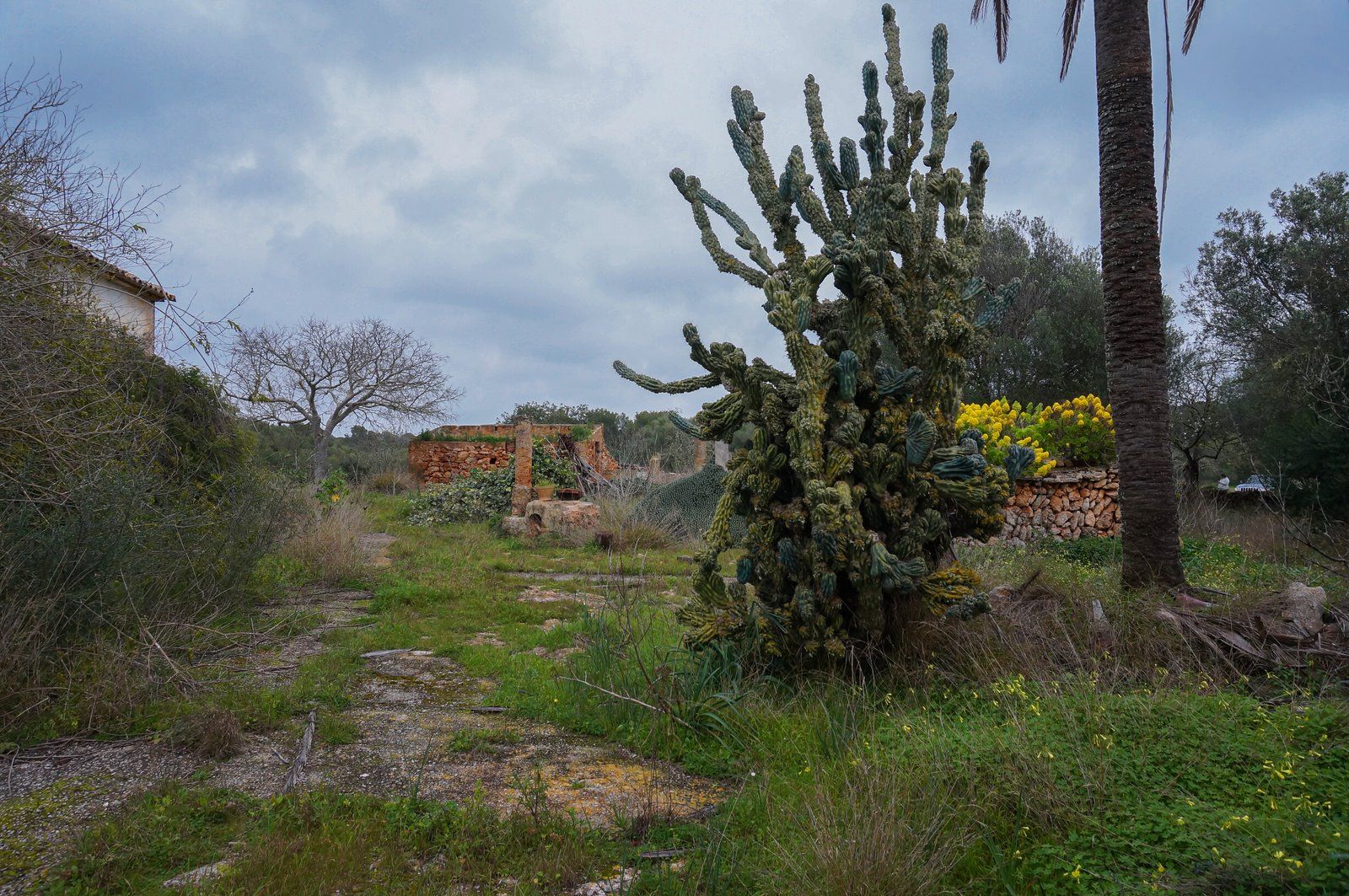 12-866-Villasyfincasmallorca.jpg Finca rústica junto a Cala Pí — 136.400 m², término Llucmajor, a 10 min de la costa