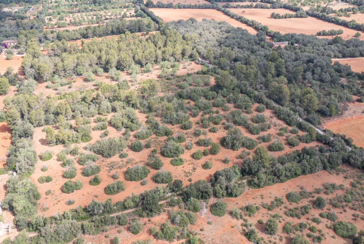 Buildable Rural Land Near Porreres, Mallorca – 20,100 m²