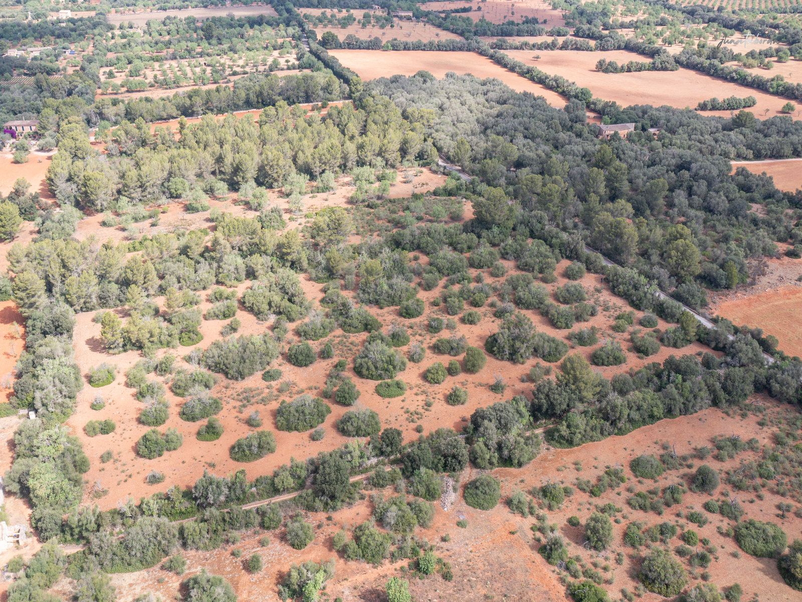 1283-Terreno-en-venta-junto-a-Porreres-3.jpg Buildable Rural Land Near Porreres, Mallorca – 20,100 m²