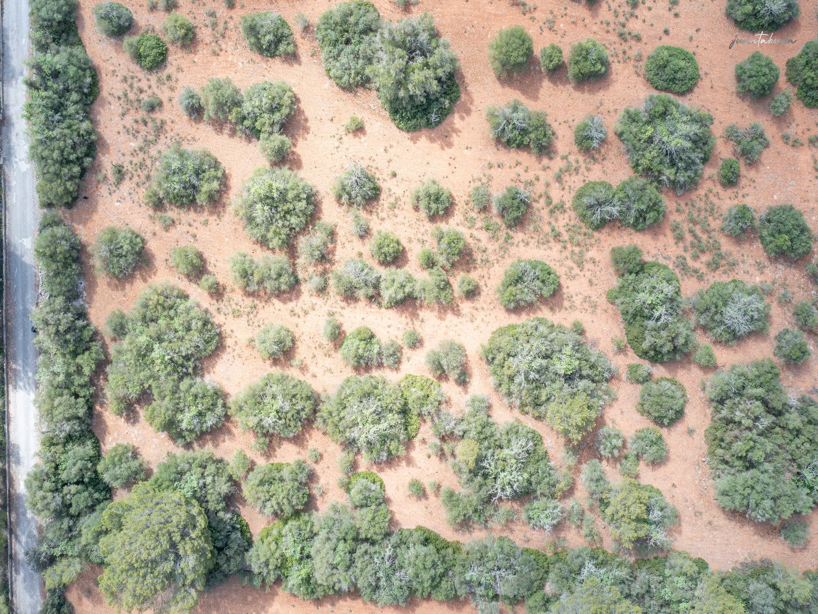 1283-Terreno-en-venta-junto-a-Porreres.jpg Buildable Rural Land Near Porreres, Mallorca – 20,100 m²