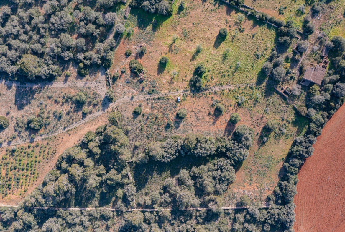 Finca rústica junto a Cala Pí — 136.400 m², término Llucmajor, a 10 min de la costa