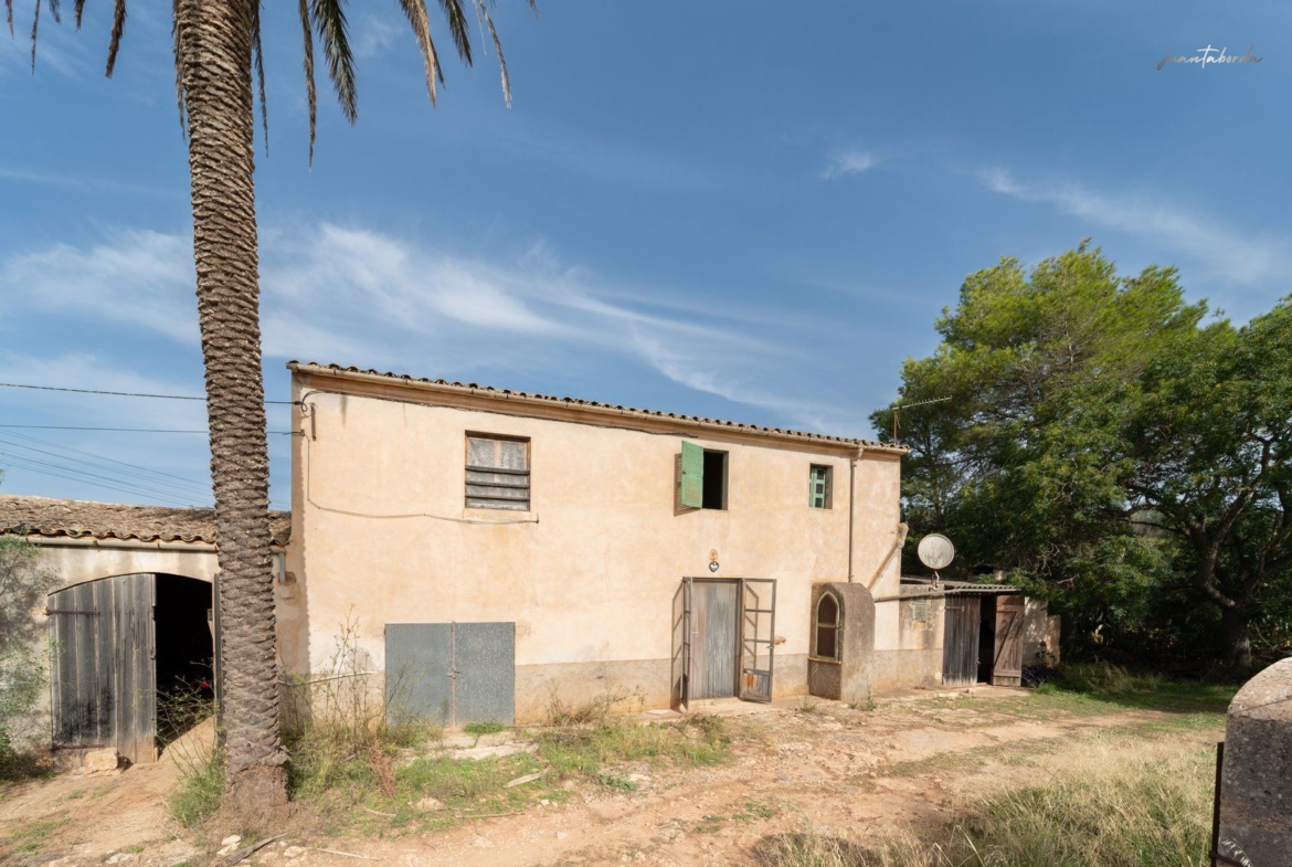 Casa de campo a reformar en Campos con 14.000 m² de parcela