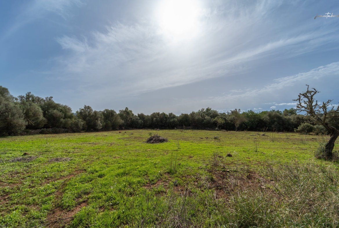 Casa de campo a reformar en Campos con 14.000 m² de parcela