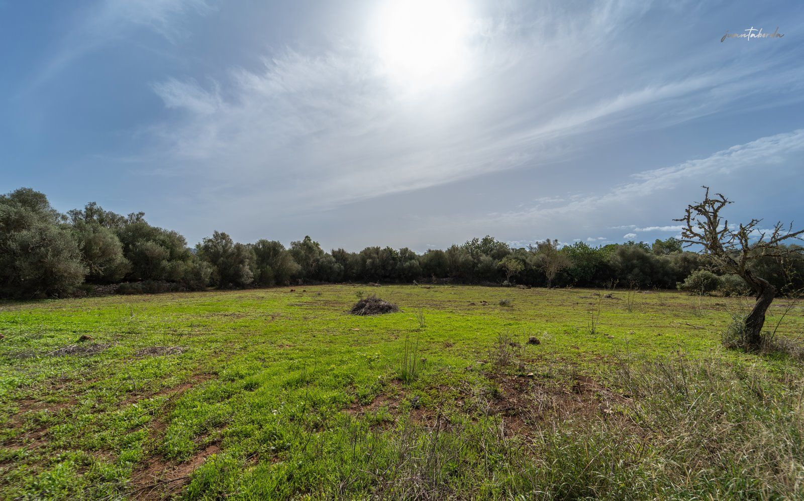 1303-Casa-de-campo-en-venta-junto-a-Campos_-25-Copiar.jpg Casa de campo a reformar en Campos con 14.000 m² de parcela