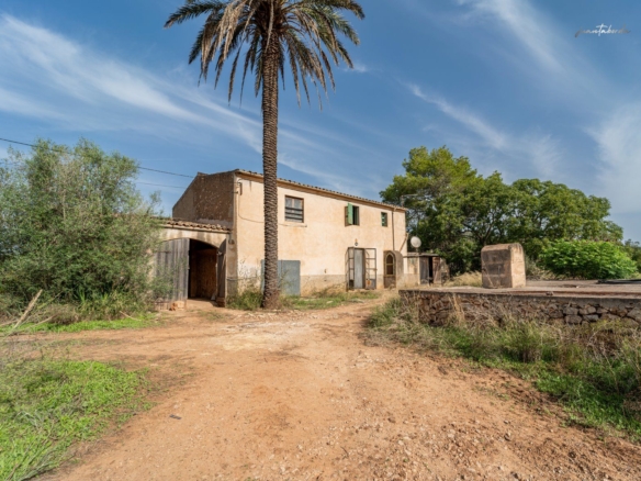 Casa de campo a reformar en Campos con 14.000 m² de parcela