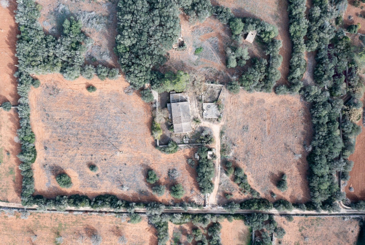 Casa de campo a reformar en Campos con 14.000 m² de parcela