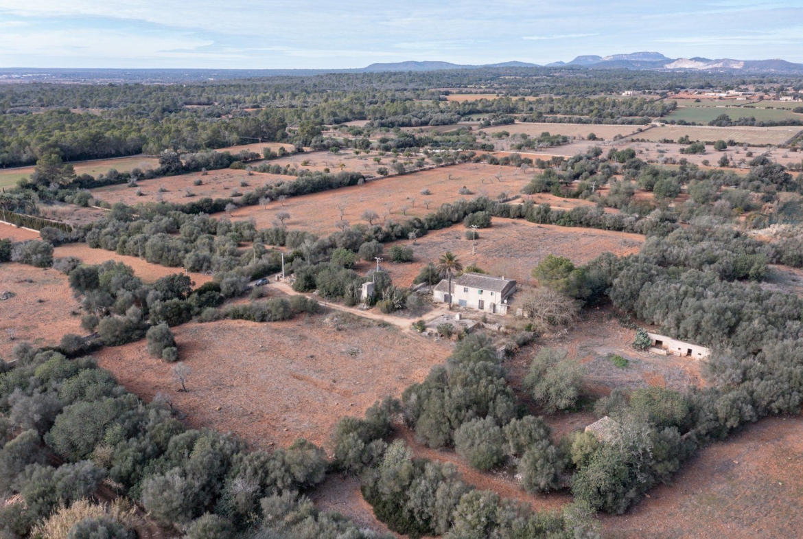 Casa de campo a reformar en Campos con 14.000 m² de parcela