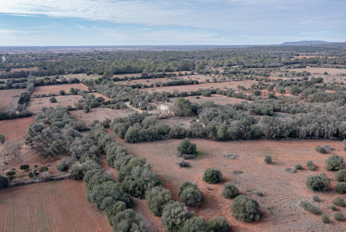 Casa de campo a reformar en Campos con 14.000 m² de parcela