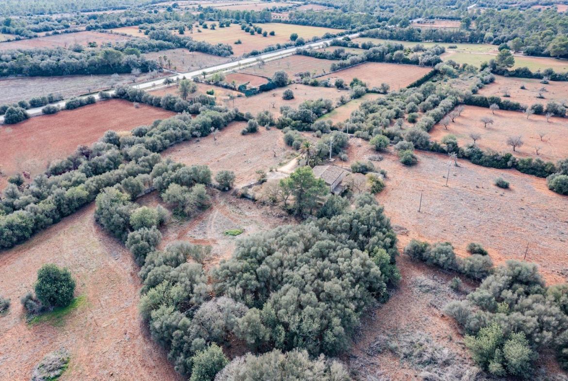 Casa de campo a reformar en Campos con 14.000 m² de parcela
