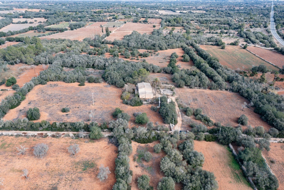 Casa de campo a reformar en Campos con 14.000 m² de parcela