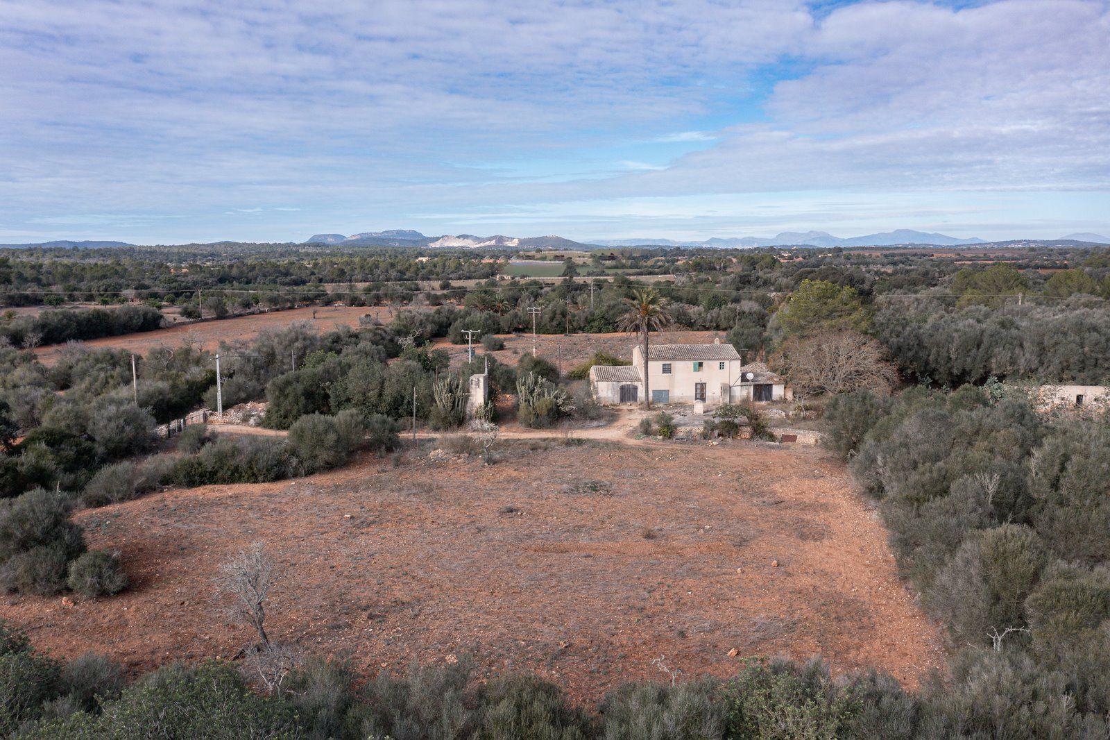 1303-Coutry-Estate-for-sale-in-Campos-Young-Asian-woman-portrait-with-a-turquoise-background-with-copyspace-8-Copiar.jpg Casa de campo a reformar en Campos con 14.000 m² de parcela