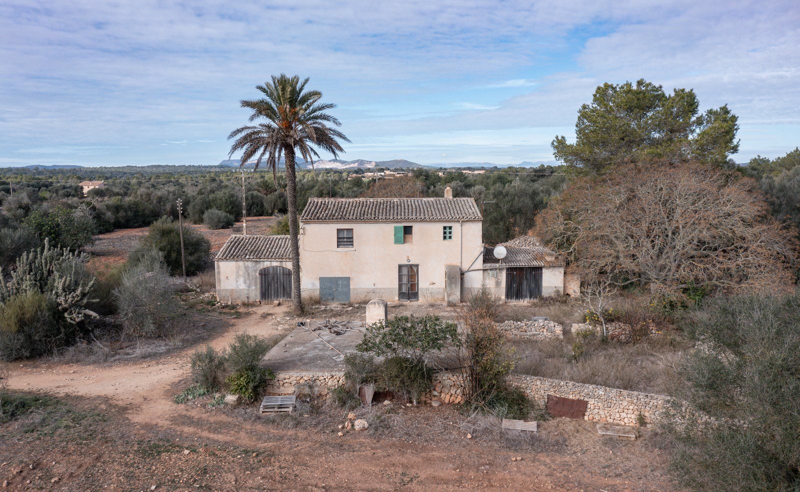 1303-Coutry-Estate-for-sale-in-Campos-Young-Asian-woman-portrait-with-a-turquoise-background-with-copyspace-9-Copiar.jpg Casa de campo a reformar en Campos con 14.000 m² de parcela