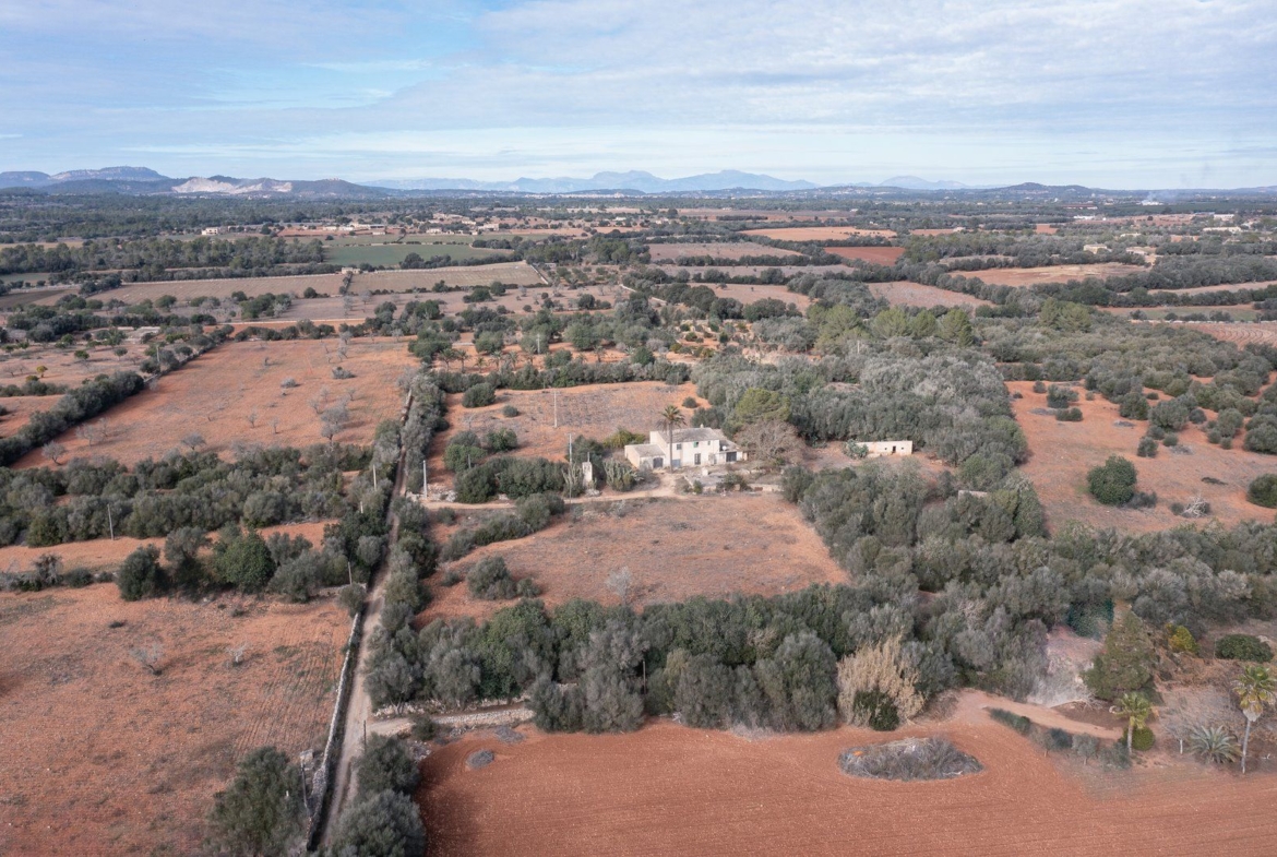 Casa de campo a reformar en Campos con 14.000 m² de parcela
