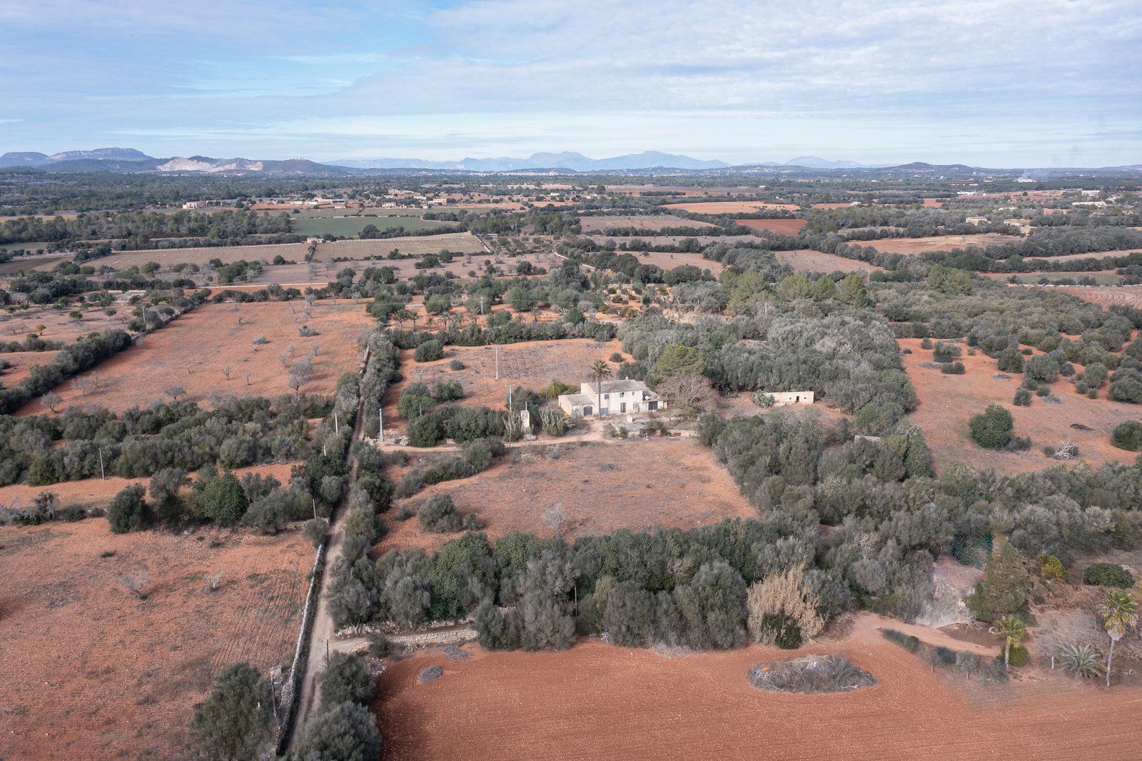 1303-Coutry-Estate-for-sale-in-Campos-Young-Asian-woman-portrait-with-a-turquoise-background-with-copyspace-Copiar.jpg Casa de campo a reformar en Campos con 14.000 m² de parcela