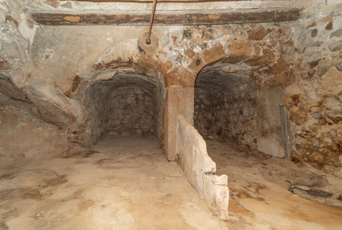 Historic Estate with Defense Tower and 311 Hectares with Sea Views Near Estellencs