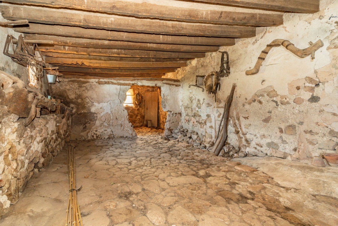 Historic Estate with Defense Tower and 311 Hectares with Sea Views Near Estellencs