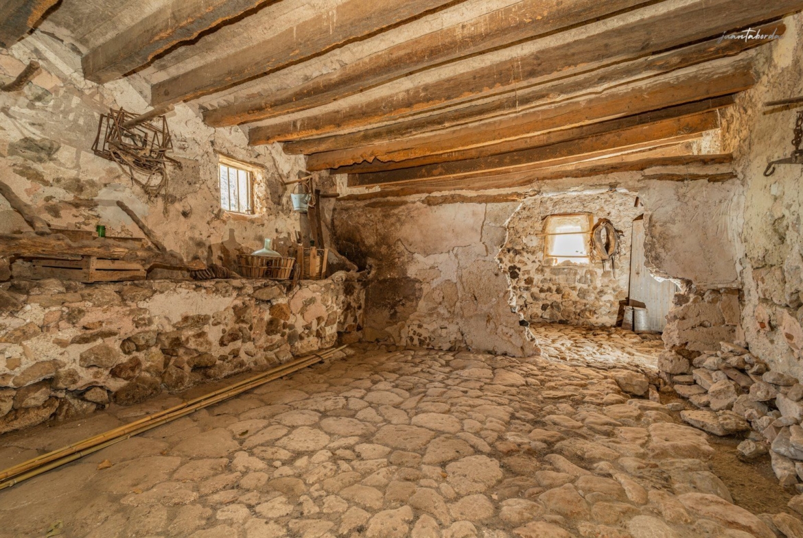Historic Estate with Defense Tower and 311 Hectares with Sea Views Near Estellencs