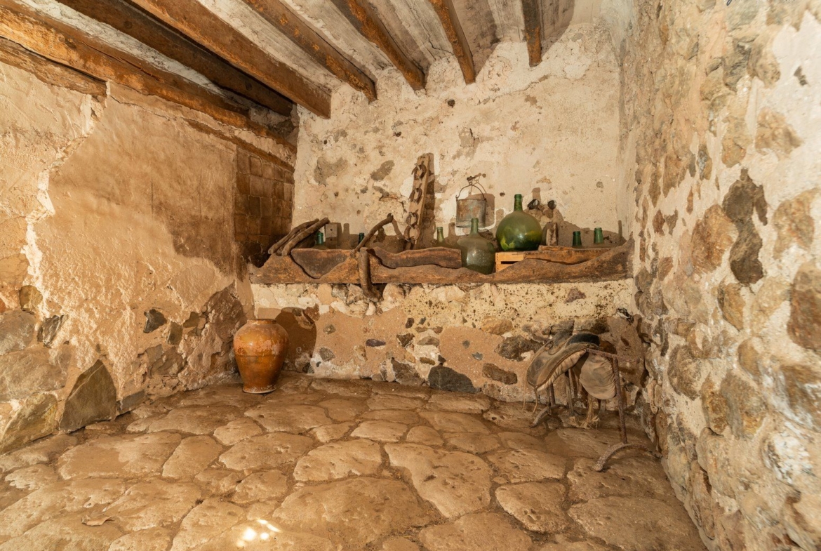 Historic Estate with Defense Tower and 311 Hectares with Sea Views Near Estellencs