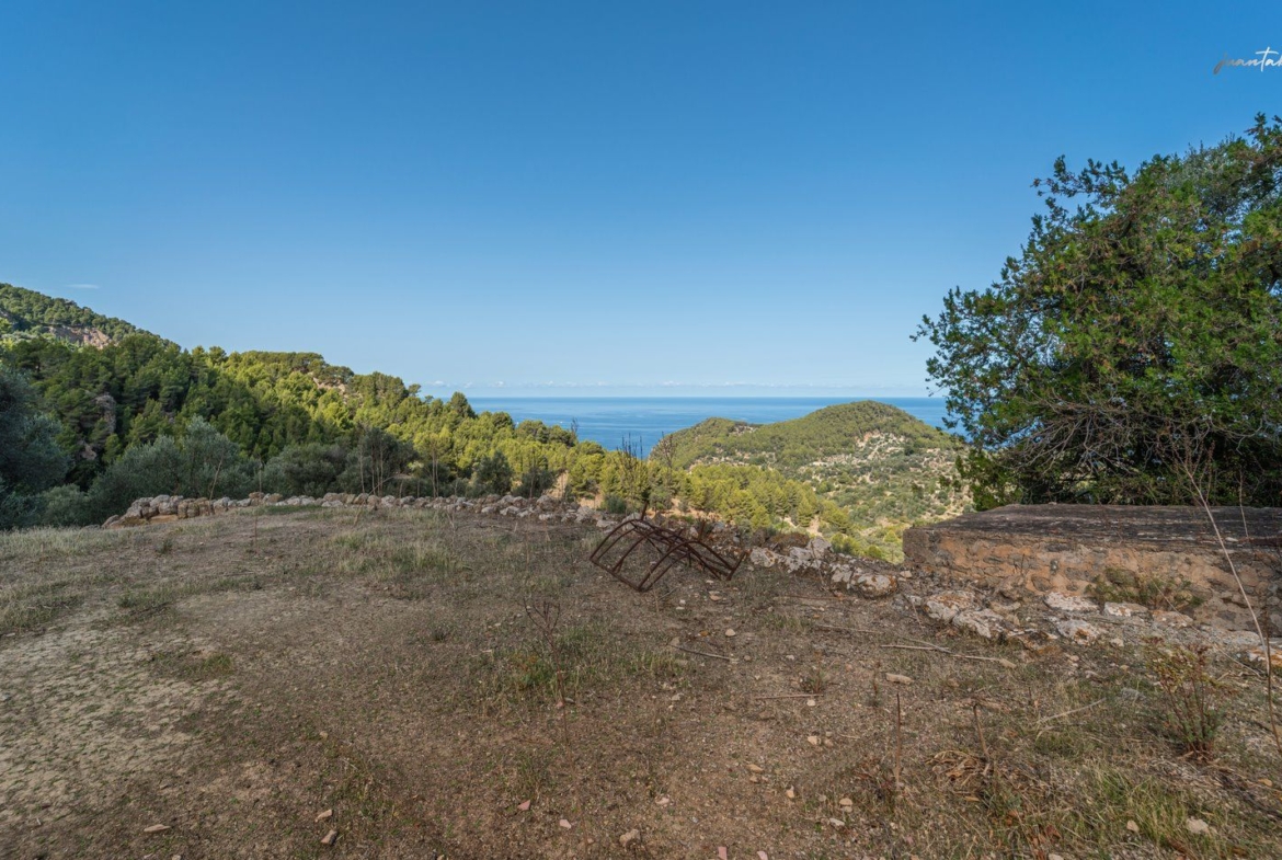 Historic Estate with Defense Tower and 311 Hectares with Sea Views Near Estellencs