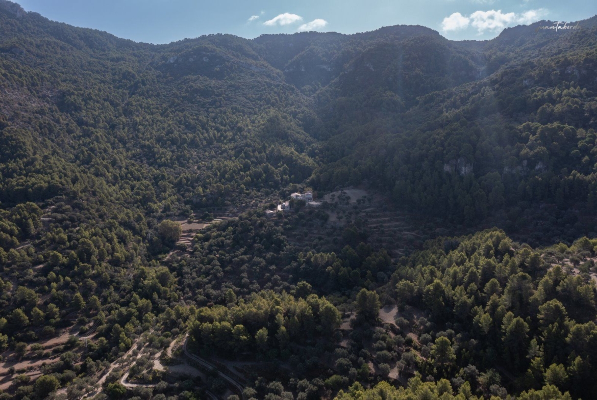 Historic Estate with Defense Tower and 311 Hectares with Sea Views Near Estellencs