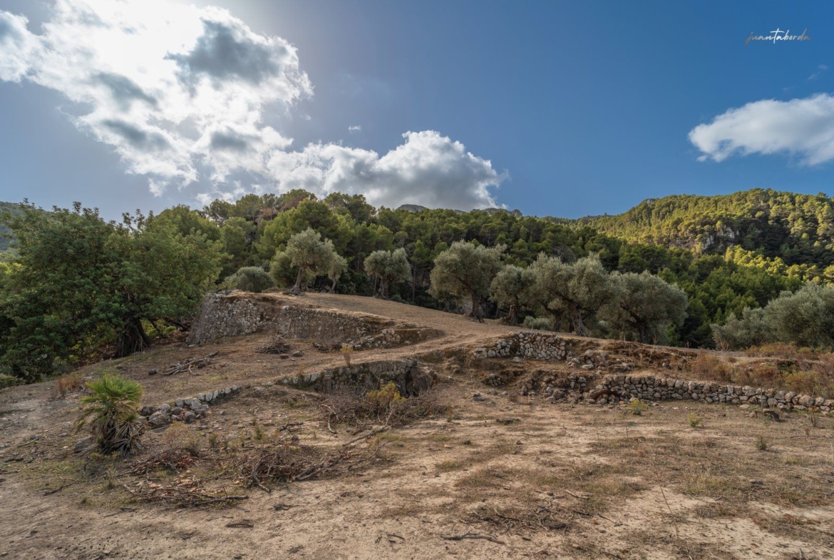 Historic Estate with Defense Tower and 311 Hectares with Sea Views Near Estellencs