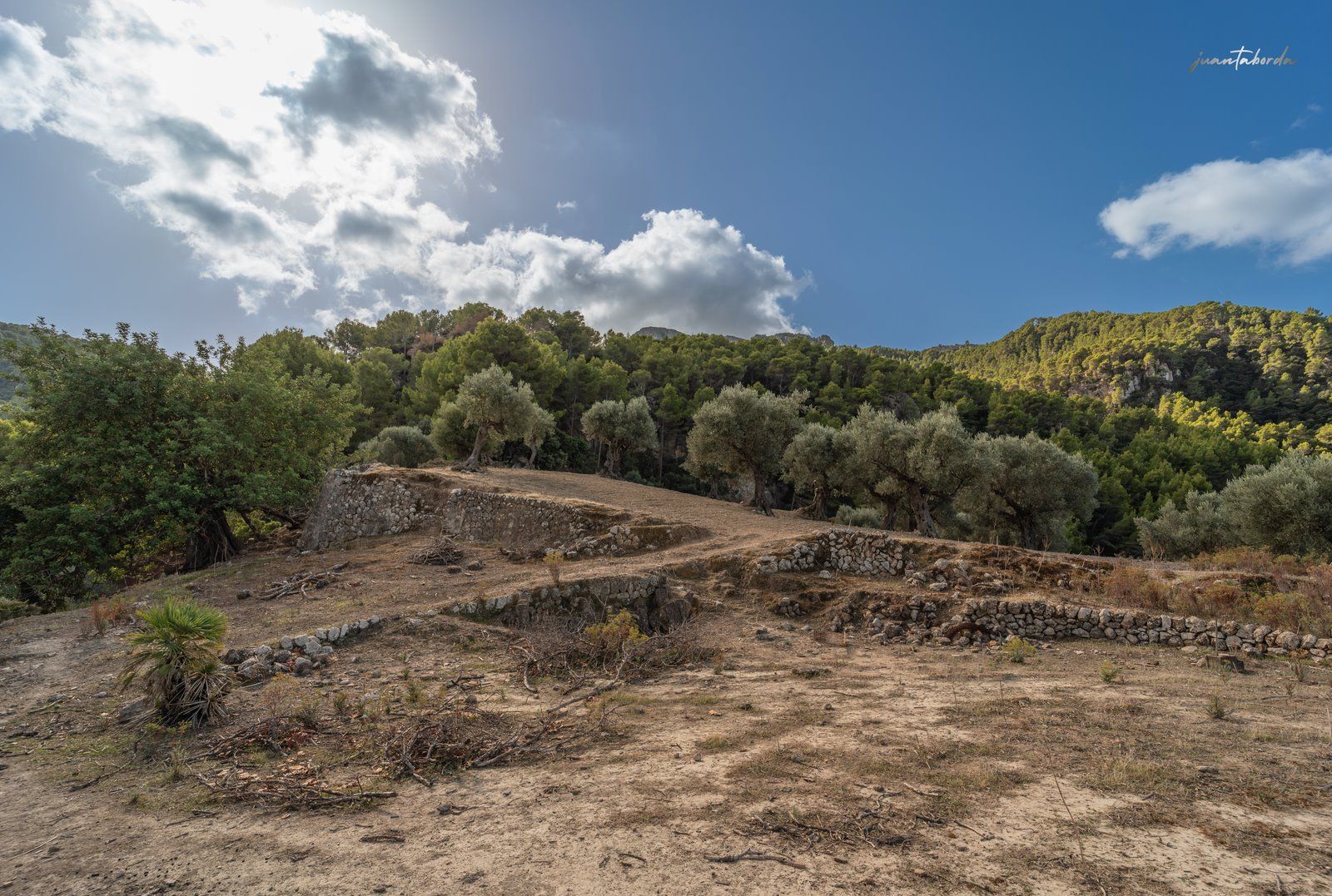 1304-Posesion-historica-en-venta-en-Mallorca-21-Copiar.jpg Historic Estate with Defense Tower and 311 Hectares with Sea Views Near Estellencs
