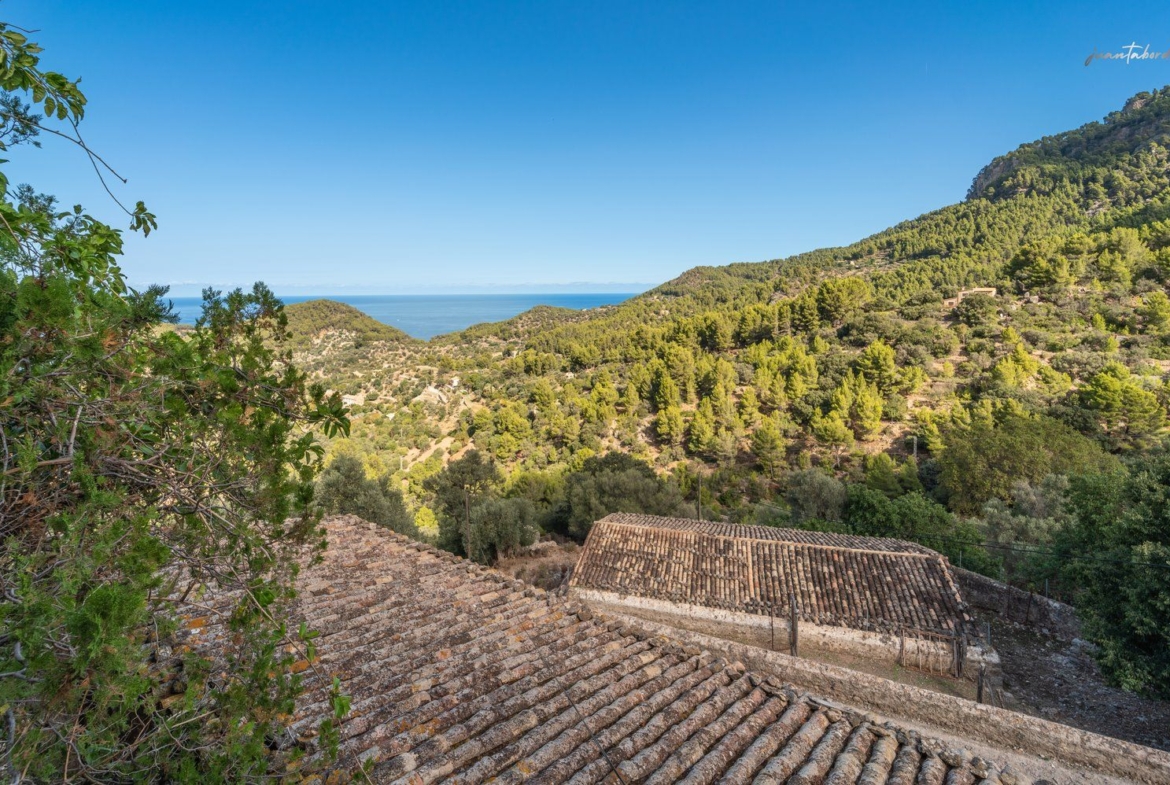 Historic Estate with Defense Tower and 311 Hectares with Sea Views Near Estellencs