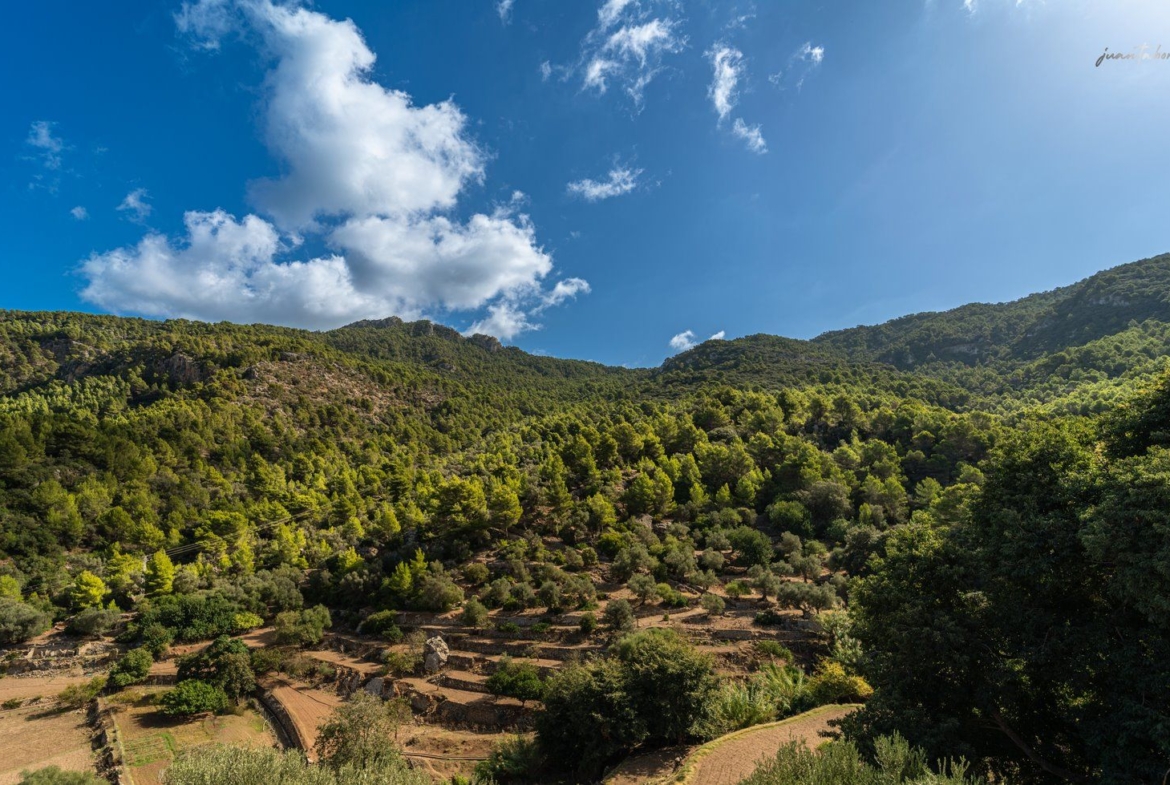 Historic Estate with Defense Tower and 311 Hectares with Sea Views Near Estellencs