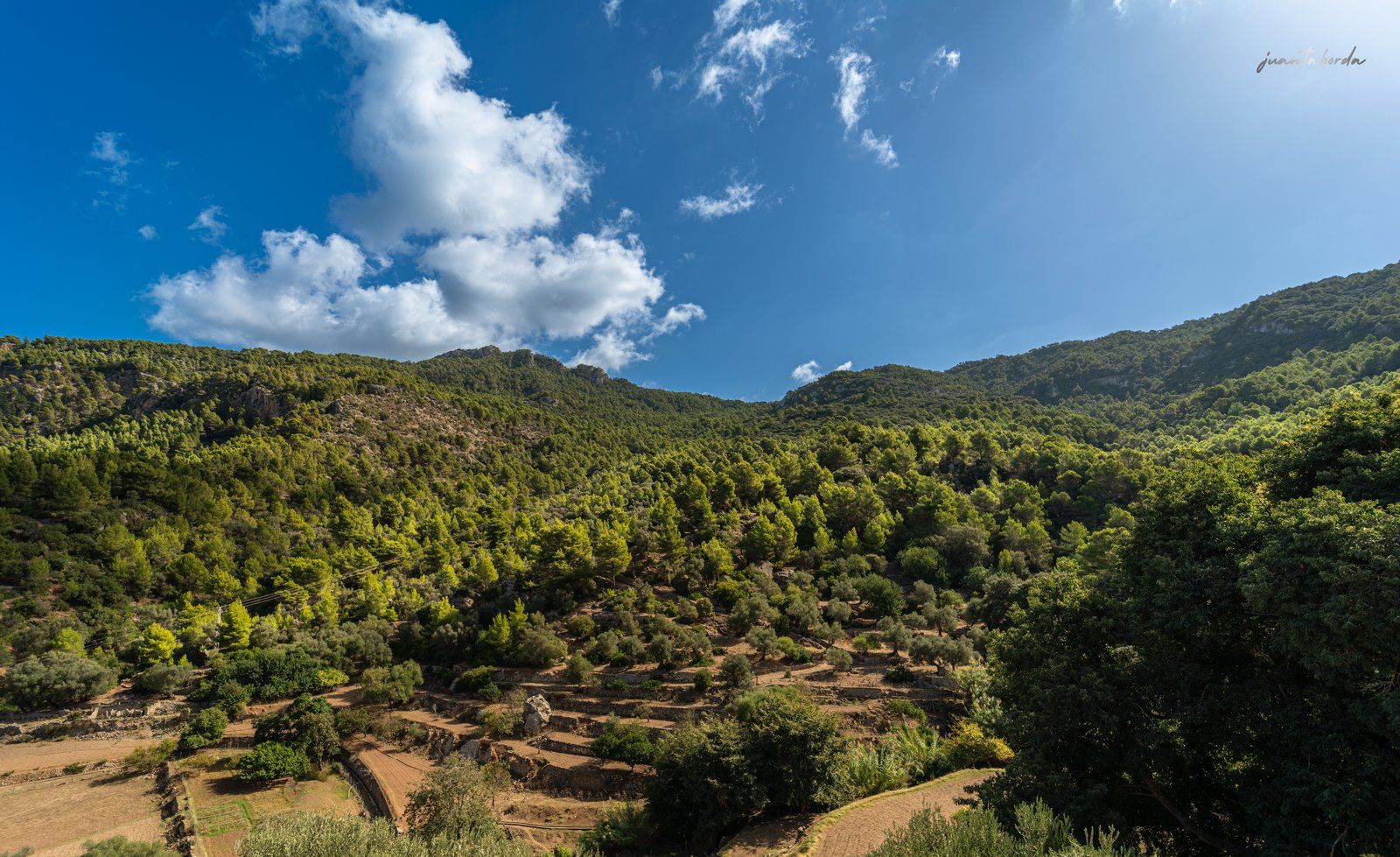 1304-Posesion-historica-en-venta-en-Mallorca-25-Copiar.jpg Historic Estate with Defense Tower and 311 Hectares with Sea Views Near Estellencs