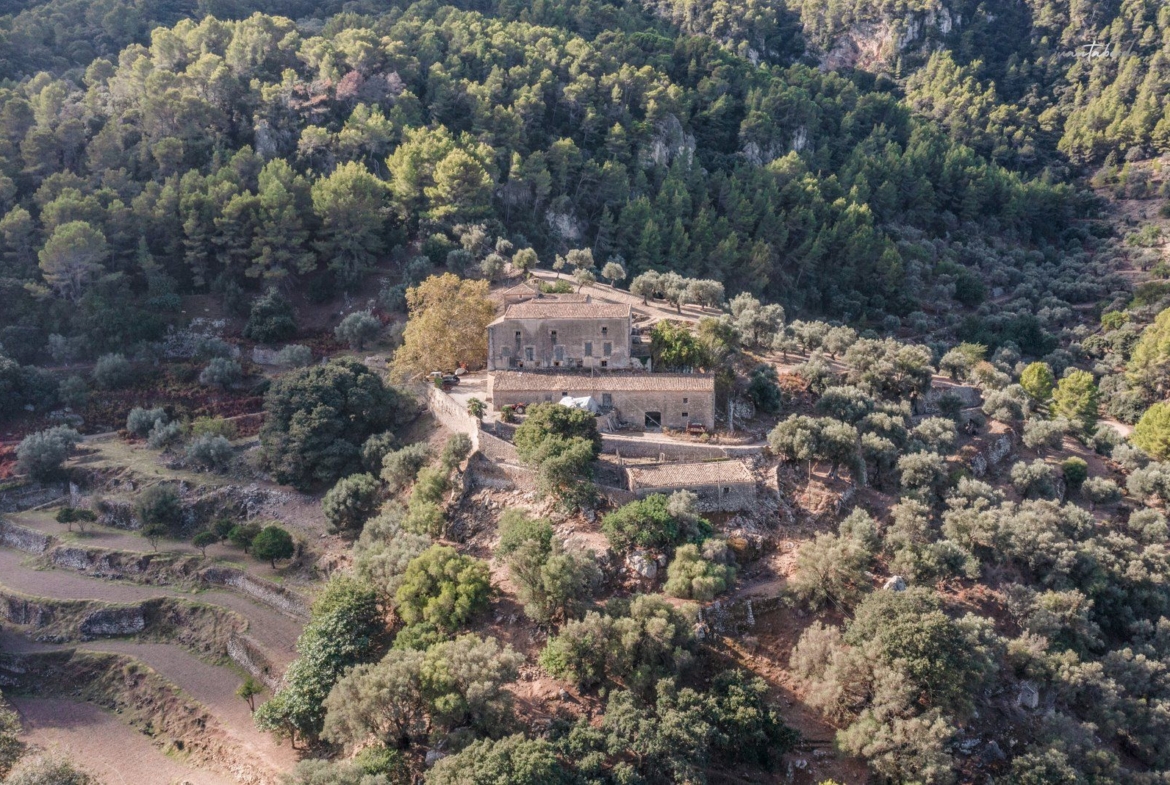Historic Estate with Defense Tower and 311 Hectares with Sea Views Near Estellencs