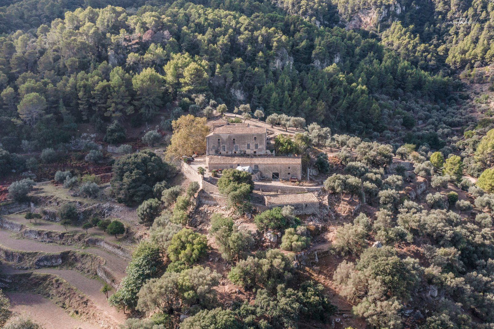 1304-Posesion-historica-en-venta-en-Mallorca-4-Copiar.jpg Historic Estate with Defense Tower and 311 Hectares with Sea Views Near Estellencs