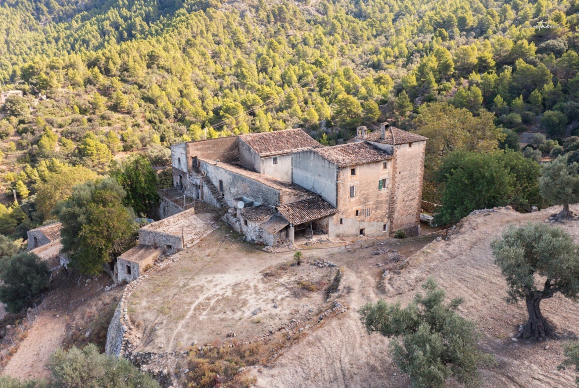 Historic Estate with Defense Tower and 311 Hectares with Sea Views Near Estellencs