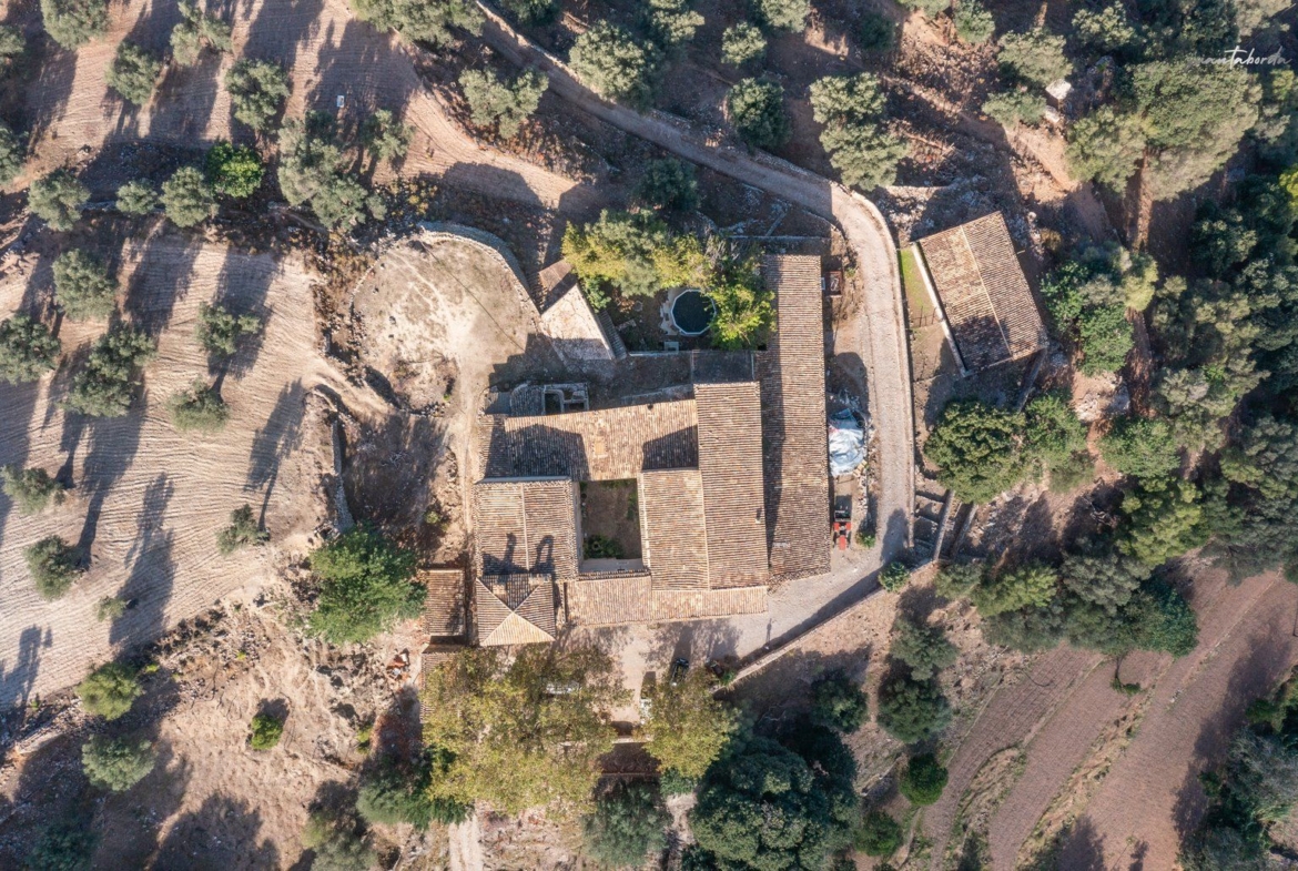 Historic Estate with Defense Tower and 311 Hectares with Sea Views Near Estellencs