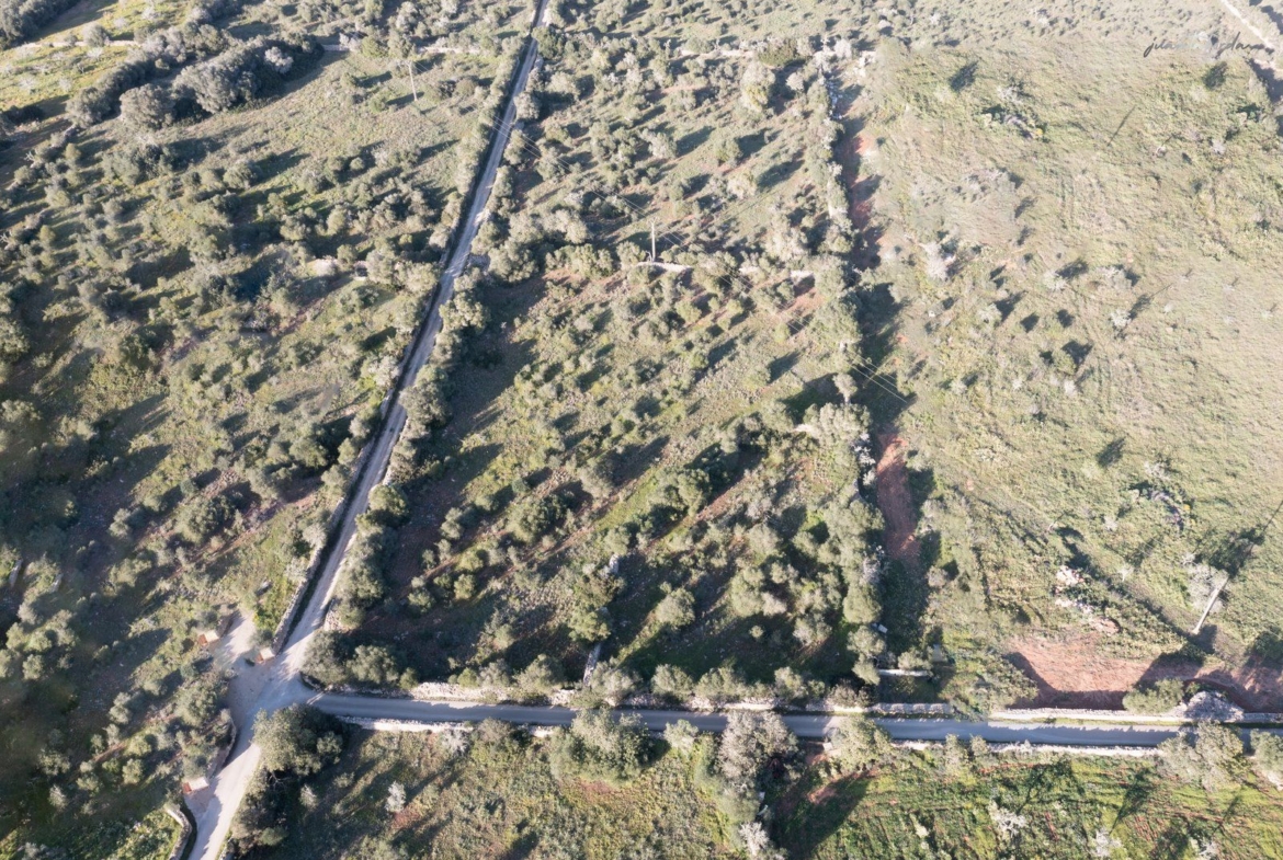 Terreno rústico edificable en Ses Salines, sureste de Mallorca