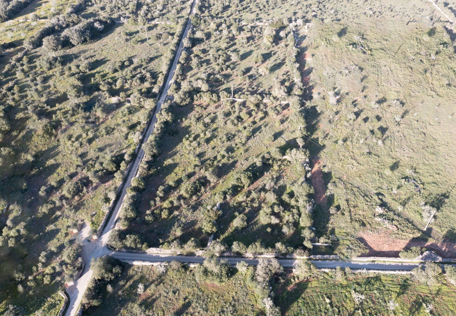 Terreno rústico edificable en Ses Salines, sureste de Mallorca
