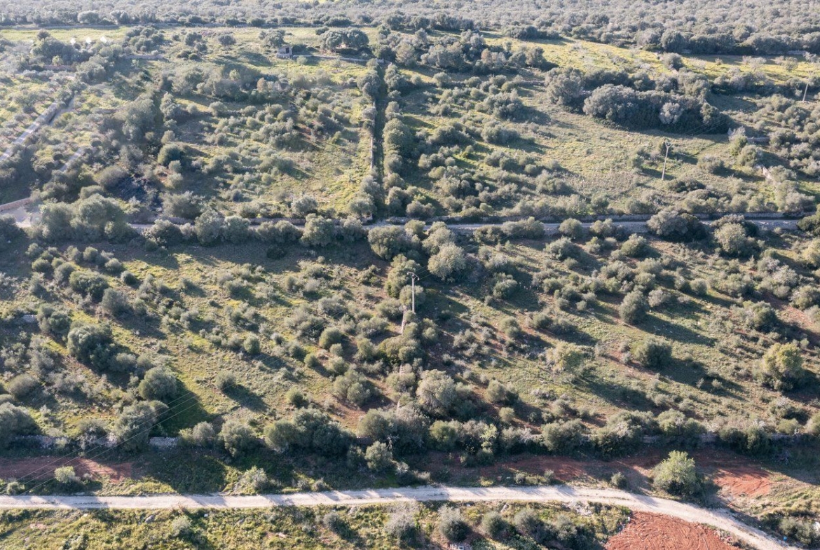 Terreno rústico edificable en Ses Salines, sureste de Mallorca