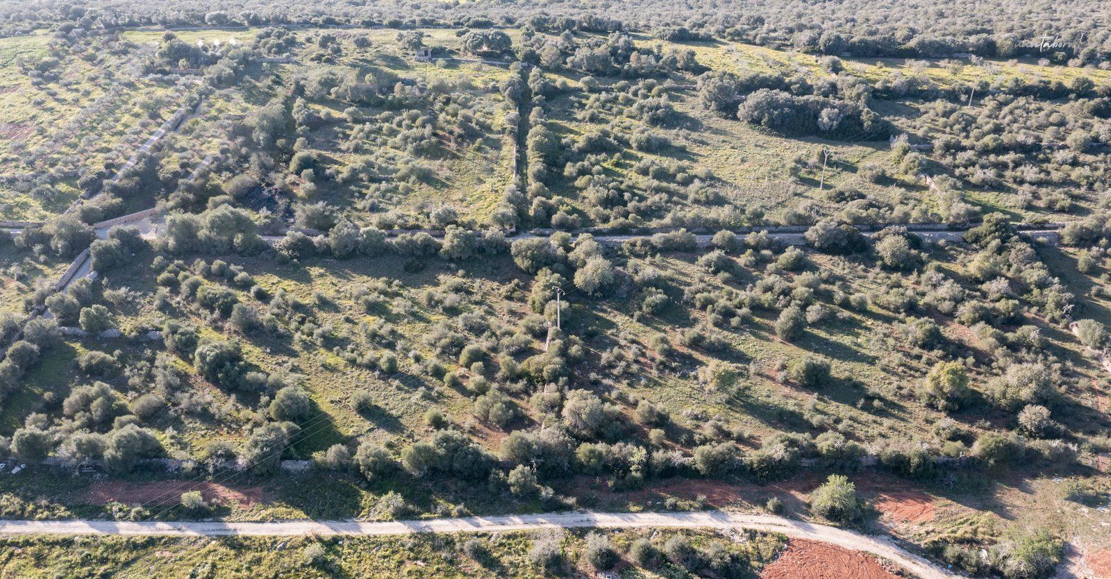 Terreno rústico edificable en Ses Salines, sureste de Mallorca
